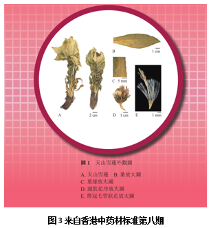 upfile