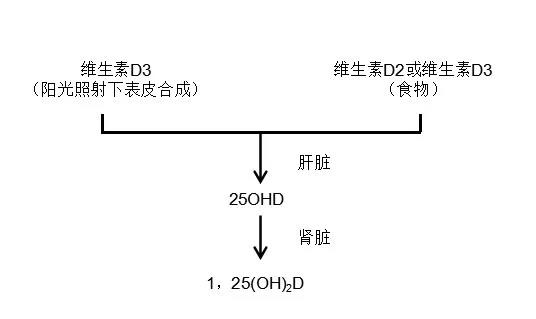 upfile