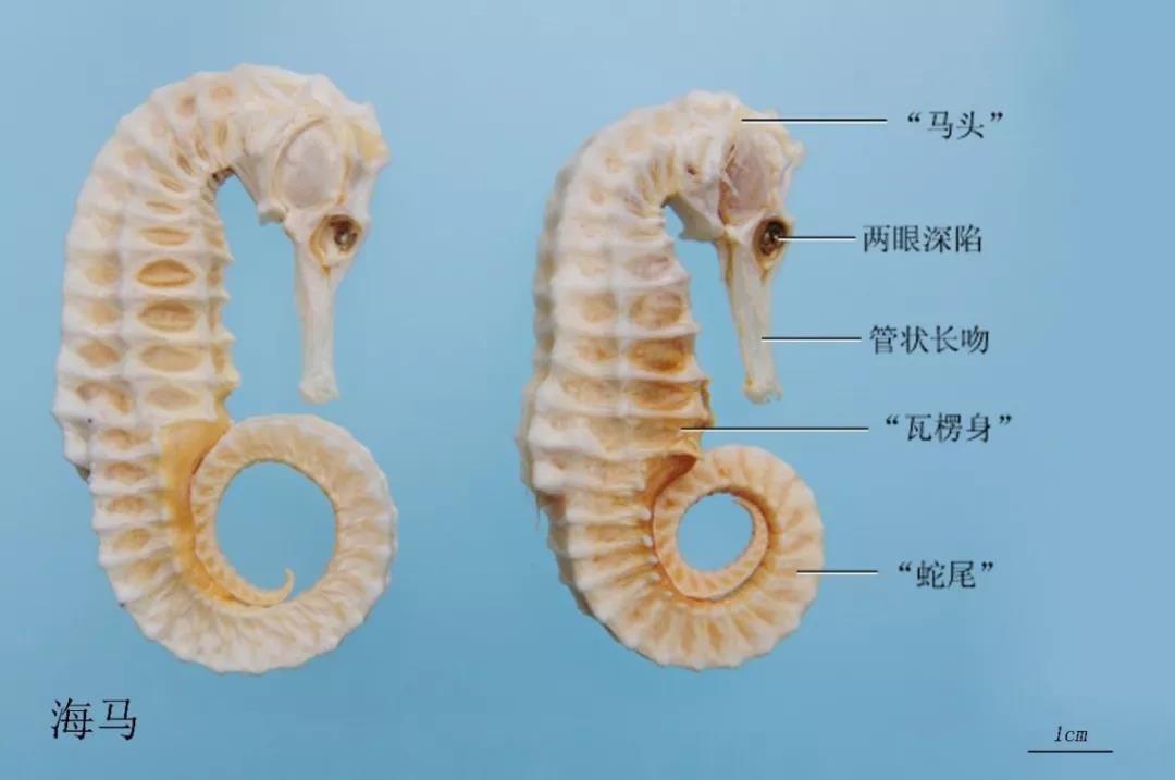 upfile
